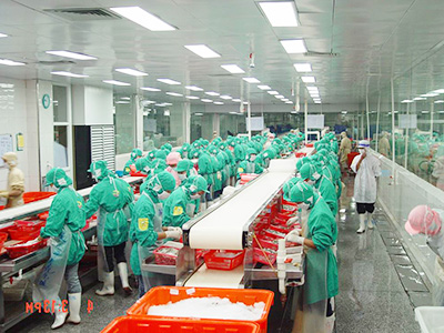 Guolian Opens a Subsidiary with 36 Peeling Lines for Processed Shrimp Products